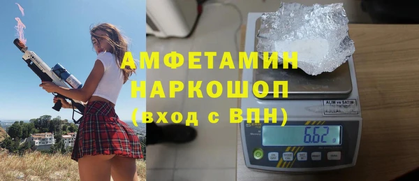 крисы Мегион