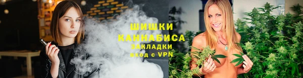 крисы Мегион