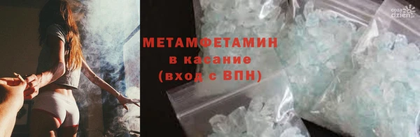 крисы Мегион