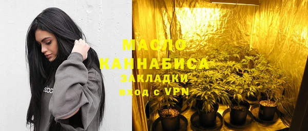 крисы Мегион