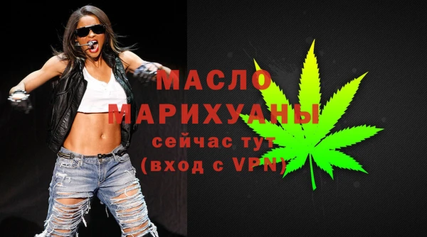 крисы Мегион