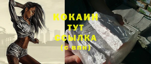 крисы Мегион