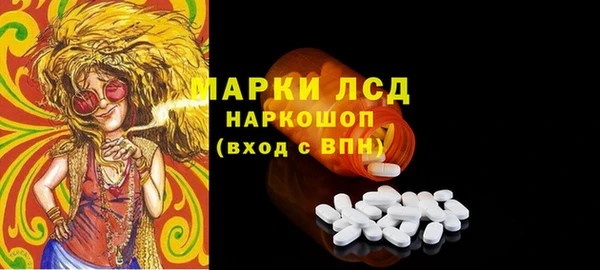 крисы Мегион